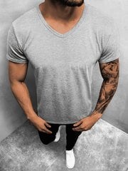 Vīriešu gaiši pelēks T-krekls, "Dimel" JS/712007-46873 цена и информация | Мужские футболки | 220.lv