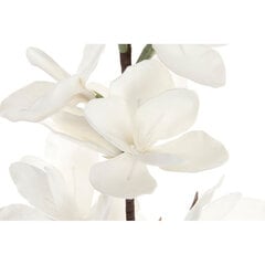 Dekoratīvs zieds DKD Home Decor Balts 15 x 8 x 125 cm cena un informācija | Mākslīgie ziedi | 220.lv