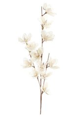 Dekoratīvs zieds DKD Home Decor Balts 40 x 10 x 135 cm cena un informācija | Mākslīgie ziedi | 220.lv