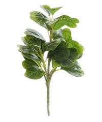 Dekoratīvs zieds DKD Home Decor Zaļš 20 x 15 x 30 cm cena un informācija | Mākslīgie ziedi | 220.lv