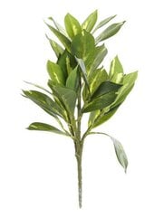 Dekoratīvs zieds DKD Home Decor Zaļš 20 x 15 x 32 cm cena un informācija | Mākslīgie ziedi | 220.lv