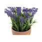 Dekoratīvo augu DKD Home Decor Zaļš Ceriņu cena un informācija | Mākslīgie ziedi | 220.lv