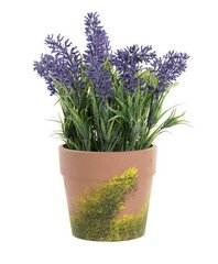 Dekoratīvo augu DKD Home Decor Zaļš Ceriņu cena un informācija | Mākslīgie ziedi | 220.lv