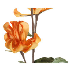 Dekoratīvie ziedi DKD Home Decor Dzeltens Oranžs EVA cena un informācija | Mākslīgie ziedi | 220.lv