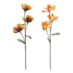 Dekoratīvie ziedi DKD Home Decor Dzeltens Oranžs EVA cena un informācija | Mākslīgie ziedi | 220.lv