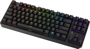 Tastatūra SPC Gear SPG057 cena un informācija | Klaviatūras | 220.lv