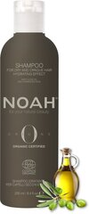 Šampūns sausiem matiem Noah Origins, 250 ml cena un informācija | Šampūni | 220.lv