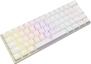 Игровая клавиатура White shark Shinobi, белая цена и информация | White Shark Компьютерная техника | 220.lv
