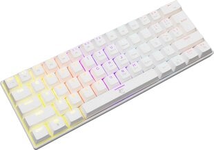 Spēļu tastatūra White shark Shinobi, balta cena un informācija | Klaviatūras | 220.lv