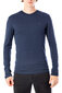 T-krekls vīriešiem Tommy Hilfiger 302361, zils цена и информация | Vīriešu T-krekli | 220.lv