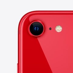 Apple iPhone SE 64GB (PRODUCT)RED 3rd Gen MMXH3ET/A цена и информация | Мобильные телефоны | 220.lv