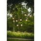 LED lampiņu virtene 9.5 m 10 spuldzes cena un informācija | Ziemassvētku lampiņas, LED virtenes | 220.lv