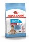 ROYAL CANIN mātītes un viņu kucēni Medium starter, 4 kg cena un informācija | Sausā barība suņiem | 220.lv