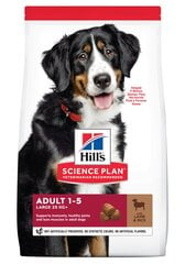 Корм для собак Hill's Sience Plan Large Breed Adult с бараниной и рисом, 14 кг цена и информация | Сухой корм для собак | 220.lv