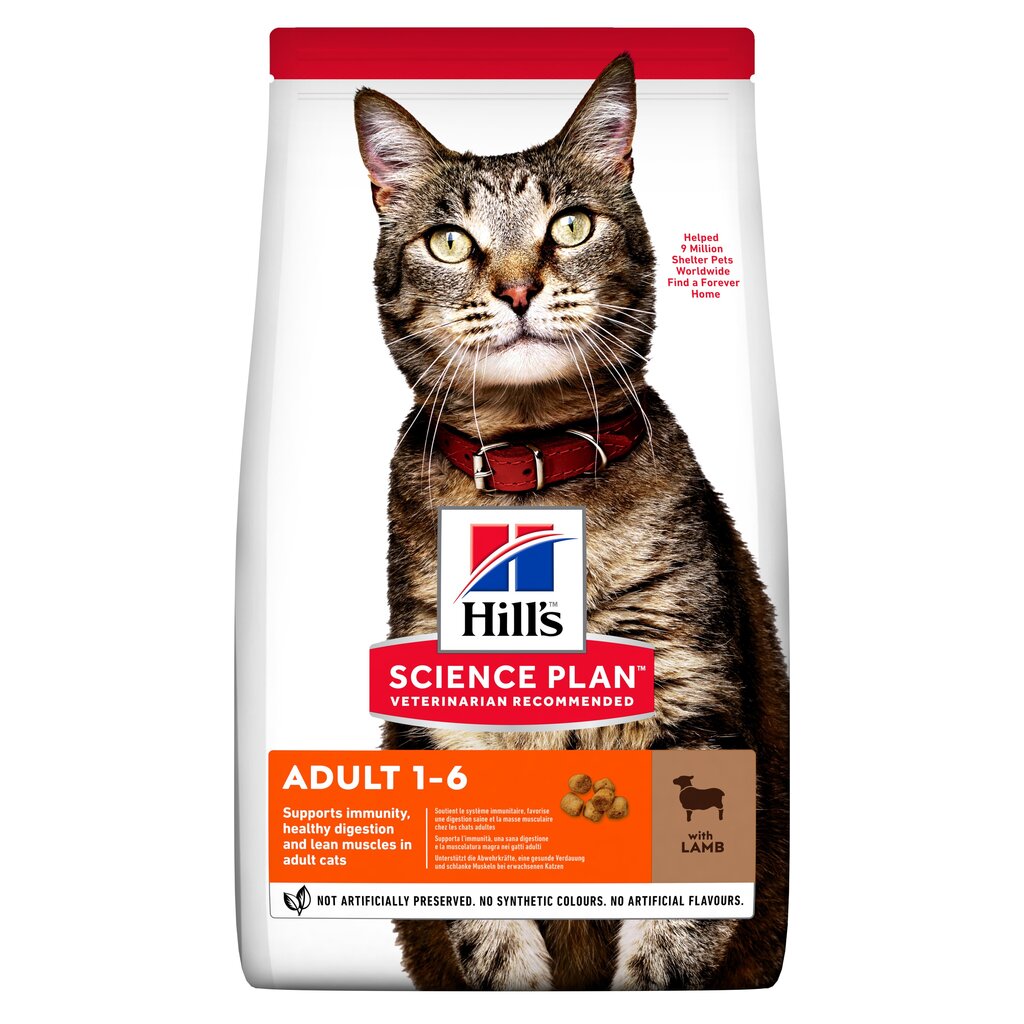 Hill's Science Plan Adult kaķu barība ar jēru, 0,3 kg цена и информация | Sausā barība kaķiem | 220.lv