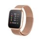 Forever ForeVigo2 SW-310 Rose Gold цена и информация | Viedpulksteņi (smartwatch) | 220.lv
