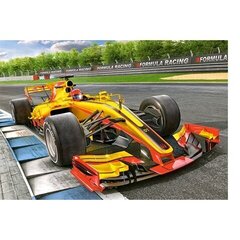 Castorland puzle Racing Bolide On Track 300 detaļas cena un informācija | Puzles, 3D puzles | 220.lv