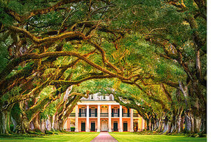 Castorland puzle OAK ALLEY PLANTATION 1000 det. cena un informācija | Puzles, 3D puzles | 220.lv