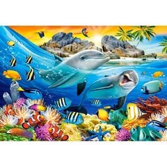 Пазл Castorland Puzzle Dolphins in the tropics, 1000 дет. цена и информация | Пазлы | 220.lv