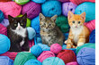 Castorland puzle KITTENS IN YAM STORE 1000 det. цена и информация | Puzles, 3D puzles | 220.lv