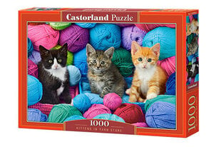 Пазл Castorland Puzzle Kittens in Yam Store, 1000 дет. цена и информация | Пазлы | 220.lv