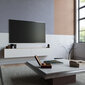 TV galdiņš Kalune Design FR8, brūns/balts cena un informācija | TV galdiņi | 220.lv