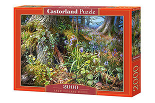 Пазл Castorland Puzzle From Rusland Woods 2000 дет. цена и информация | Пазлы | 220.lv