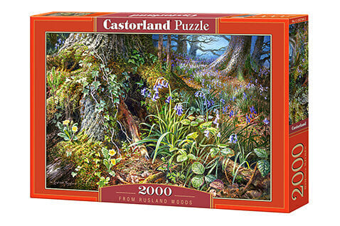 Castorland puzle FROM RUSLAND WOODS 2000 det. cena un informācija | Puzles, 3D puzles | 220.lv