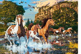 Пазл Castorland Puzzle Horse Wonderland, 1000 шт. цена и информация | Пазлы | 220.lv
