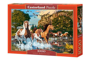 Пазл Castorland Puzzle Horse Wonderland, 1000 шт. цена и информация | Пазлы | 220.lv