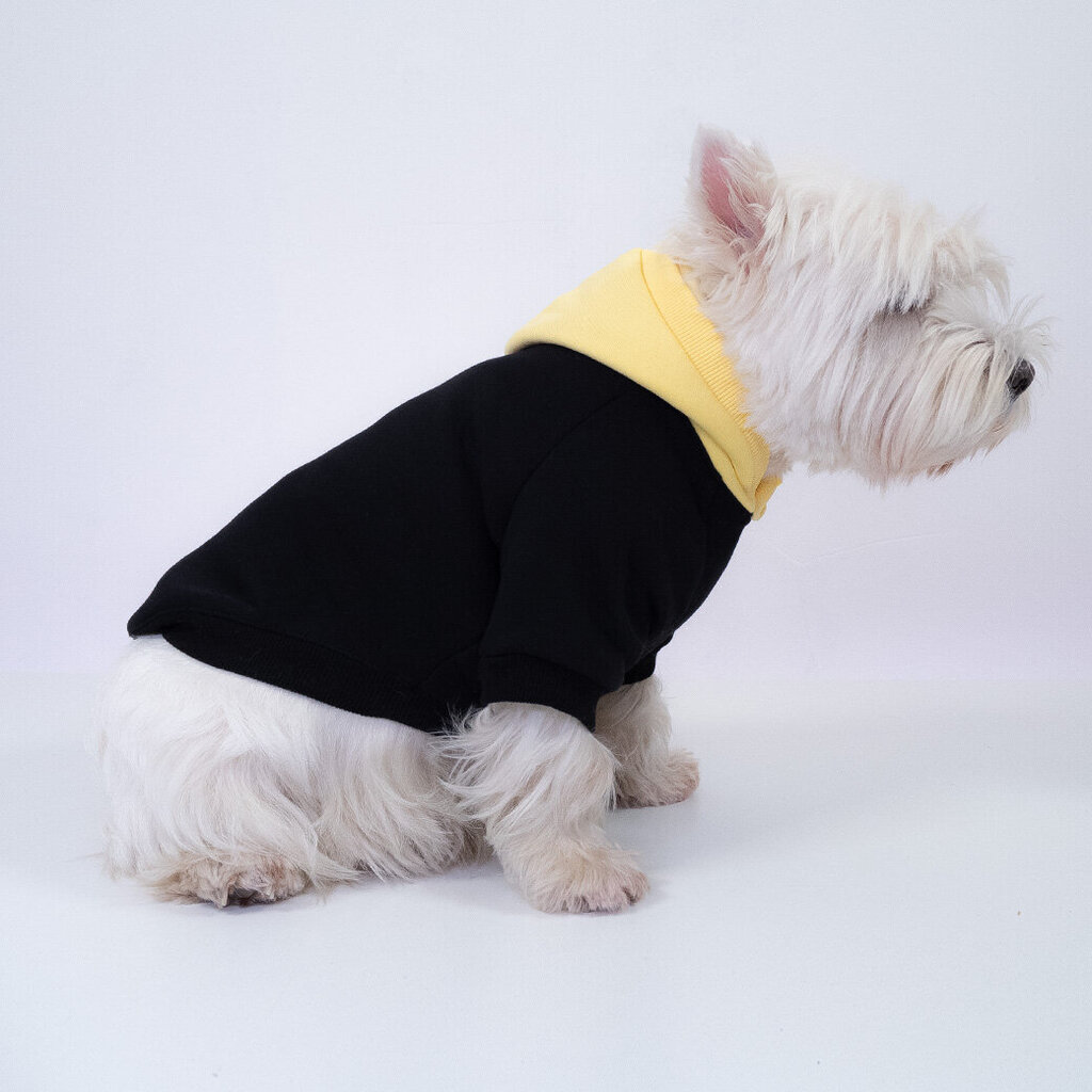 Džemperis ar kapuci, melns cena un informācija | Apģērbi suņiem | 220.lv