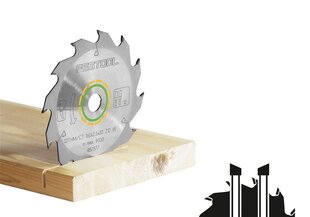 Пильный диск Festool, HW 160x2,2x20 W18 WOOD STANDARD 768129 цена и информация | Механические инструменты | 220.lv