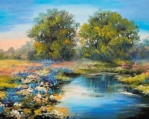 Komplekts gleznošana pēc numuriem 40x50 cm "Summer river" cena un informācija | Gleznas pēc numuriem | 220.lv
