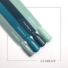 Стойкий гибридный гель лак для ногтей CLARESA GREEN WINKS 2, 5 г цена и информация | Лаки для ногтей, укрепители | 220.lv