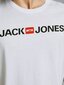 Vīriešu T-krekls, JACK & JONES 12137126*03, balts cena un informācija | Vīriešu T-krekli | 220.lv