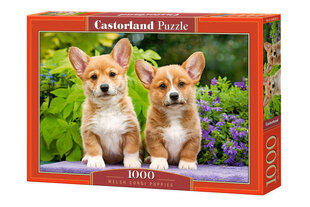 Castorland puzle Welsh Corgi Puppies 1000 det. cena un informācija | Puzles, 3D puzles | 220.lv