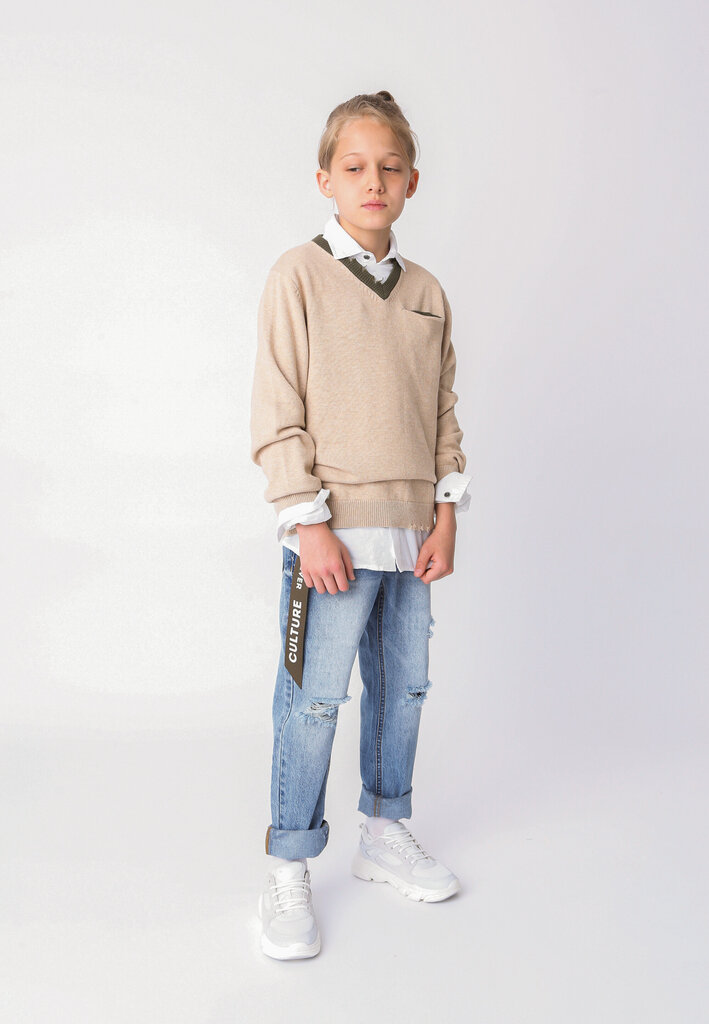 Džemperis ar V veida kakla izgriezumu zēniem Gulliver, bēšs, 134*68*60 cm cena un informācija | Jakas, džemperi, žaketes, vestes meitenēm | 220.lv