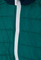 Starpsezonu jaka zēniem Gulliver, zila/zaļa, 134*68*60 cm cena un informācija | Ziemas apģērbs bērniem | 220.lv