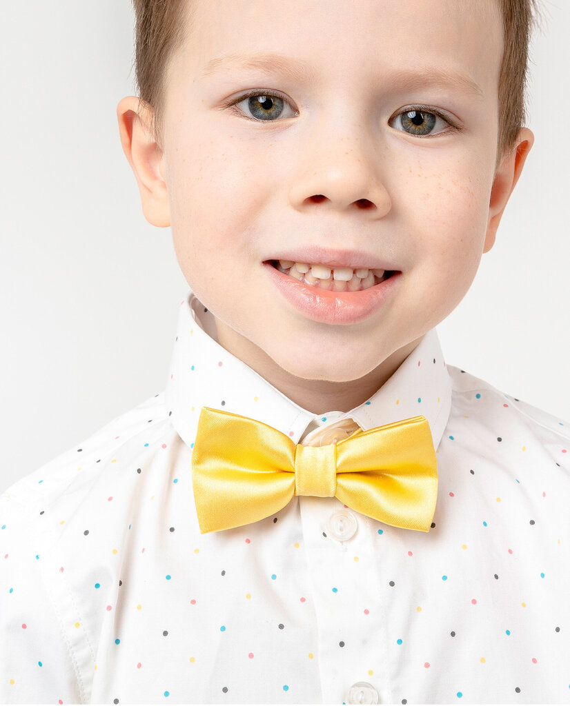 Kaklasaite-tauriņš zēniem Gulliver, dzeltena цена и информация | Bērnu aksesuāri | 220.lv