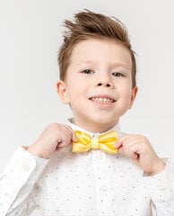 Желтый галстук-бабочка для мальчиков «Gulliver» цена и информация | Аксессуары для детей  | 220.lv