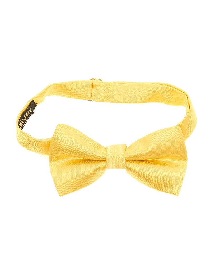 Kaklasaite-tauriņš zēniem Gulliver, dzeltena cena un informācija | Bērnu aksesuāri | 220.lv
