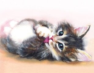 Dimanta mozaīka 40x50 cm "Cute kitten" cena un informācija | Dimantu mozaīkas | 220.lv