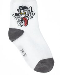 Белые носки с декором для мальчиков «Gulliver» цена и информация | Носки, колготки для мальчиков | 220.lv