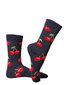 Zeķes sievietēm Happy Socks cena un informācija | Sieviešu zeķes | 220.lv