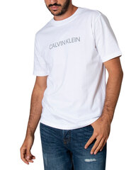 T-krekls vīriešiem Calvin Klein Performance, balts cena un informācija | Vīriešu T-krekli | 220.lv