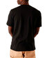 T-krekls vīriešiem Dickies BFN-G-336696 cena un informācija | Vīriešu T-krekli | 220.lv