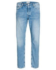 Джинсы мужские Jack Jones, синие цена и информация | Мужские джинсы | 220.lv