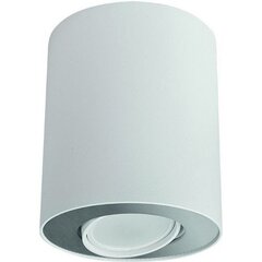 Nowodvorski Lighting griestu lampa 8897 Set White/Silver цена и информация | Потолочные светильники | 220.lv