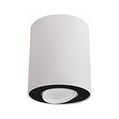 Nowodvorski Lighting griestu lampa 8898 Set White/Black цена и информация | Потолочные светильники | 220.lv