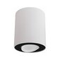Nowodvorski Lighting griestu lampa 8898 Set White/Black цена и информация | Griestu lampas | 220.lv